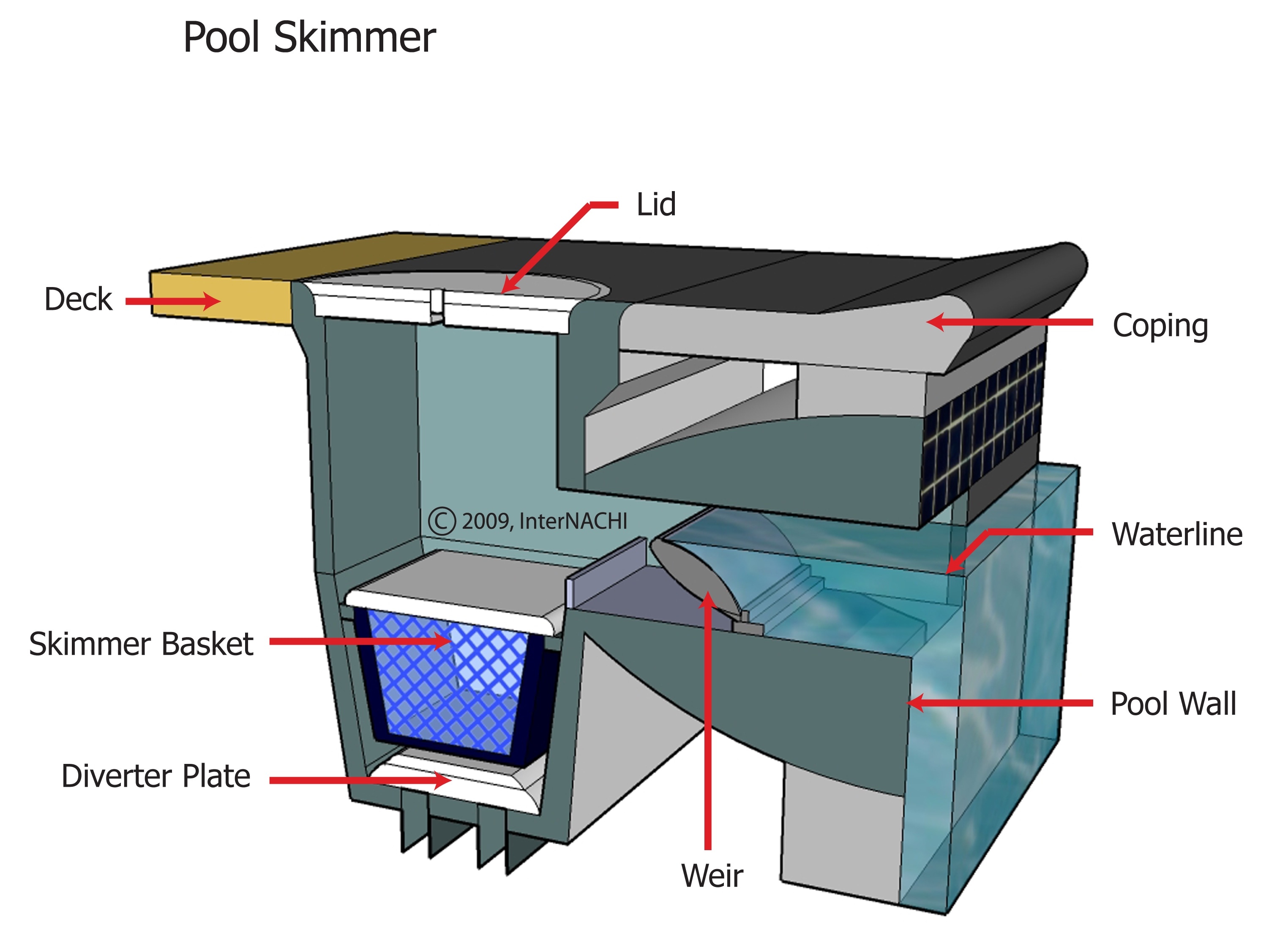 pool-skimmer-3d.jpg